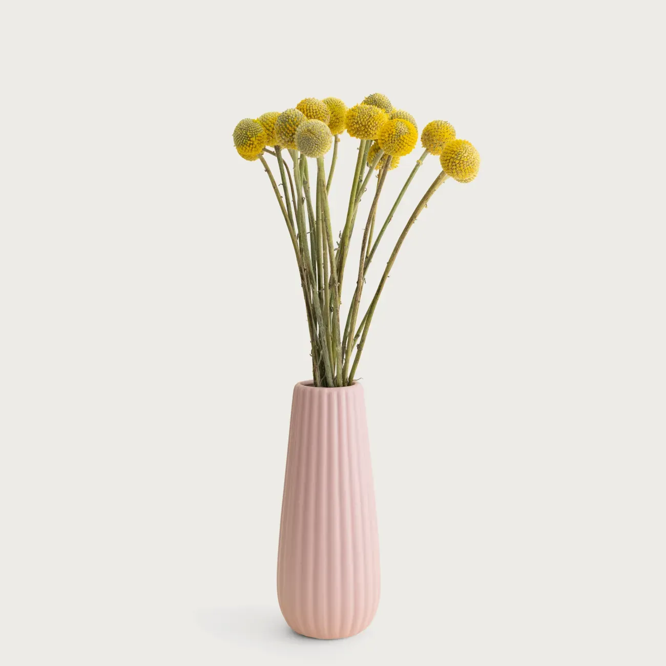 Pastel Pink Mini Flower Vase