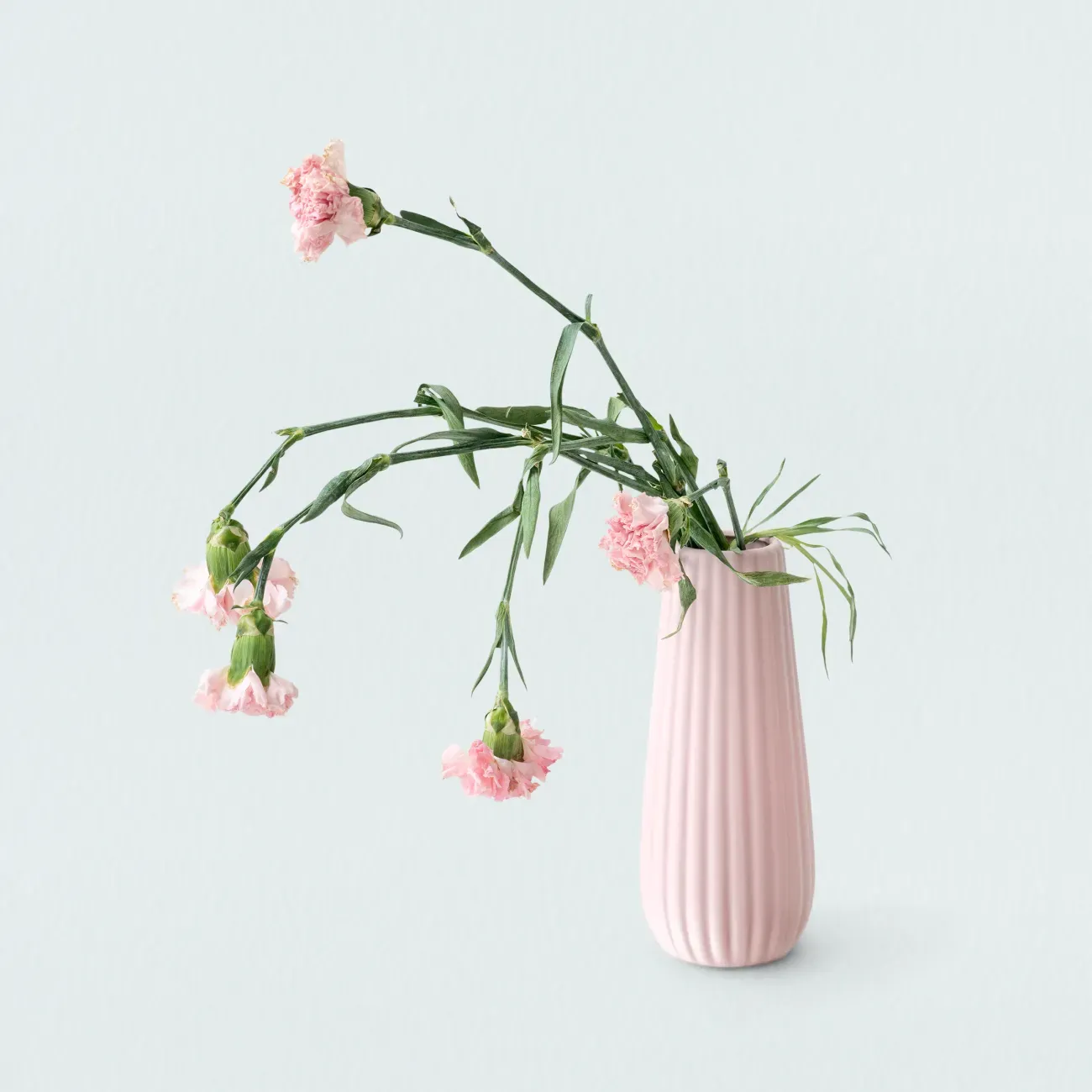 Pastel Pink Mini Flower Vase