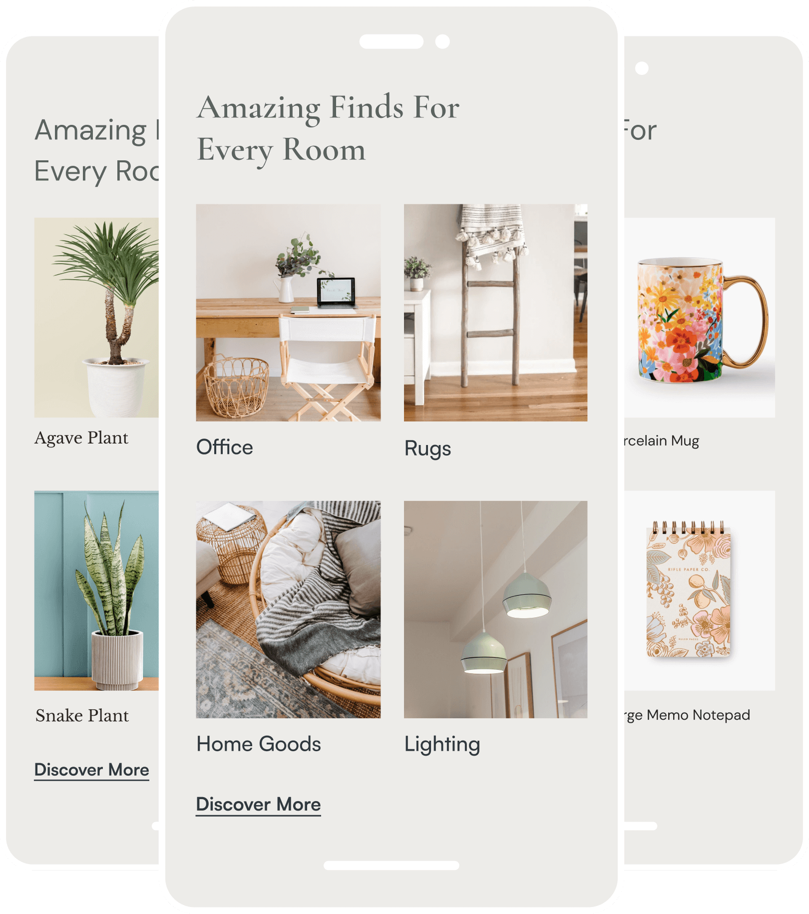 Image with text section